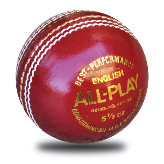 All Play Leather Cricket Ball