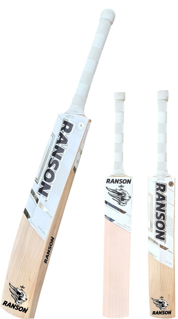 RCE-10002-SH PLAYERS EDITION ENGLISH WILLOW CRICKET BAT SIZE SH