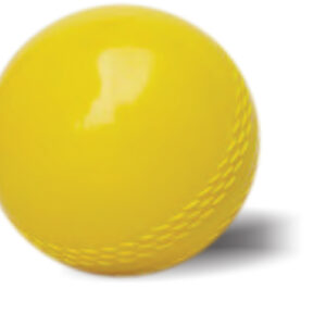 RCE-10133 CUB AIR CRICKET BALL